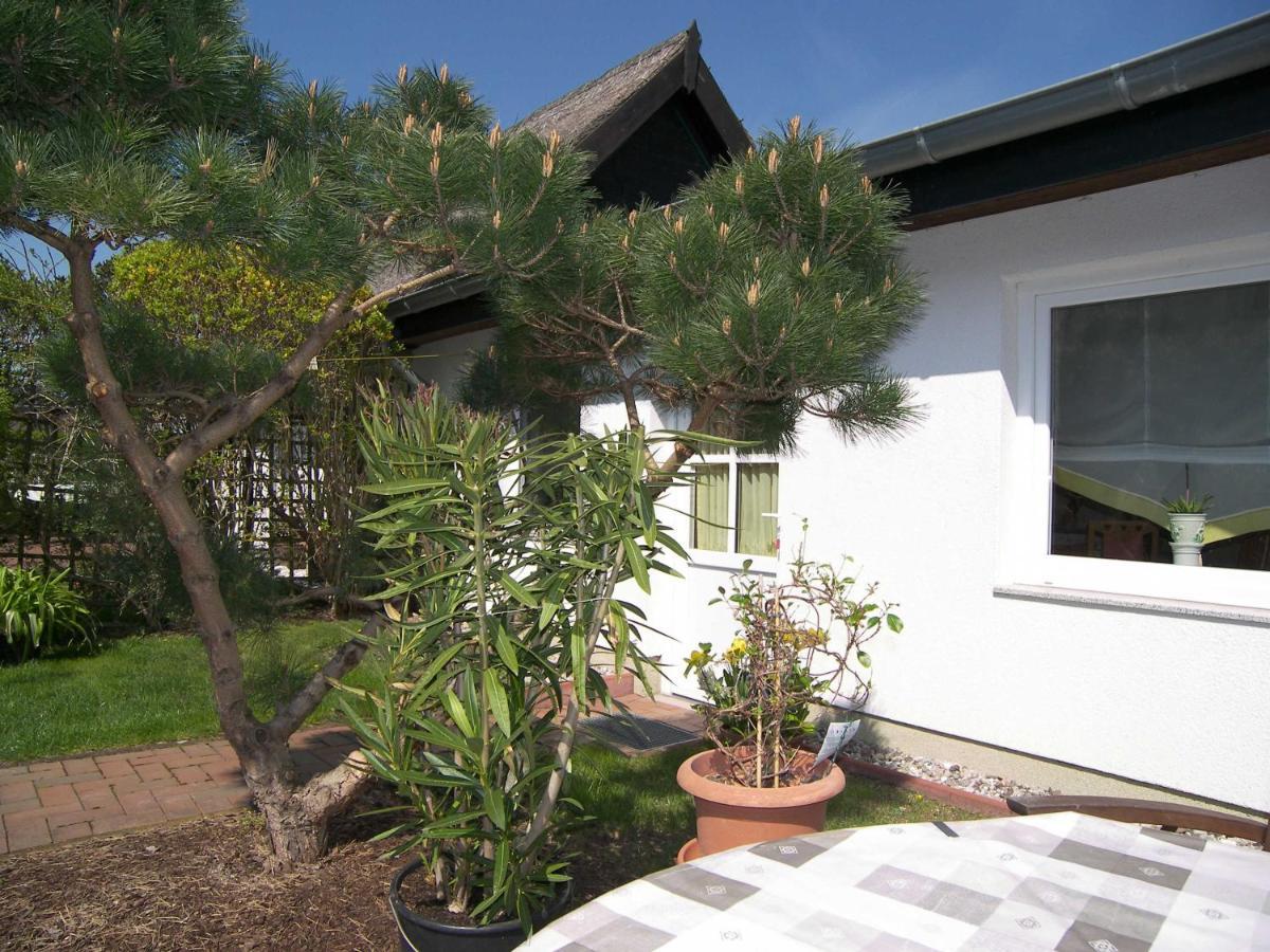 Ferienwohnung Urlaub bei Schünemanns Ulrichshorst Exterior foto